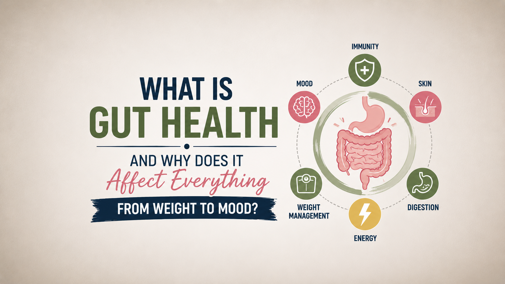 Does Gut Health Affects Everything From Weight to Mood